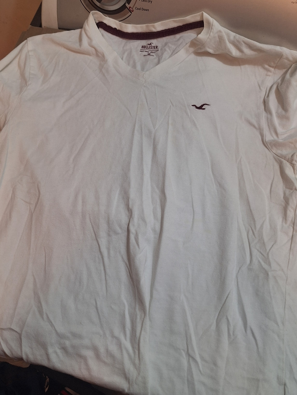Hollister White V-Neck Short Sleeve Tee with Maroon Seagull